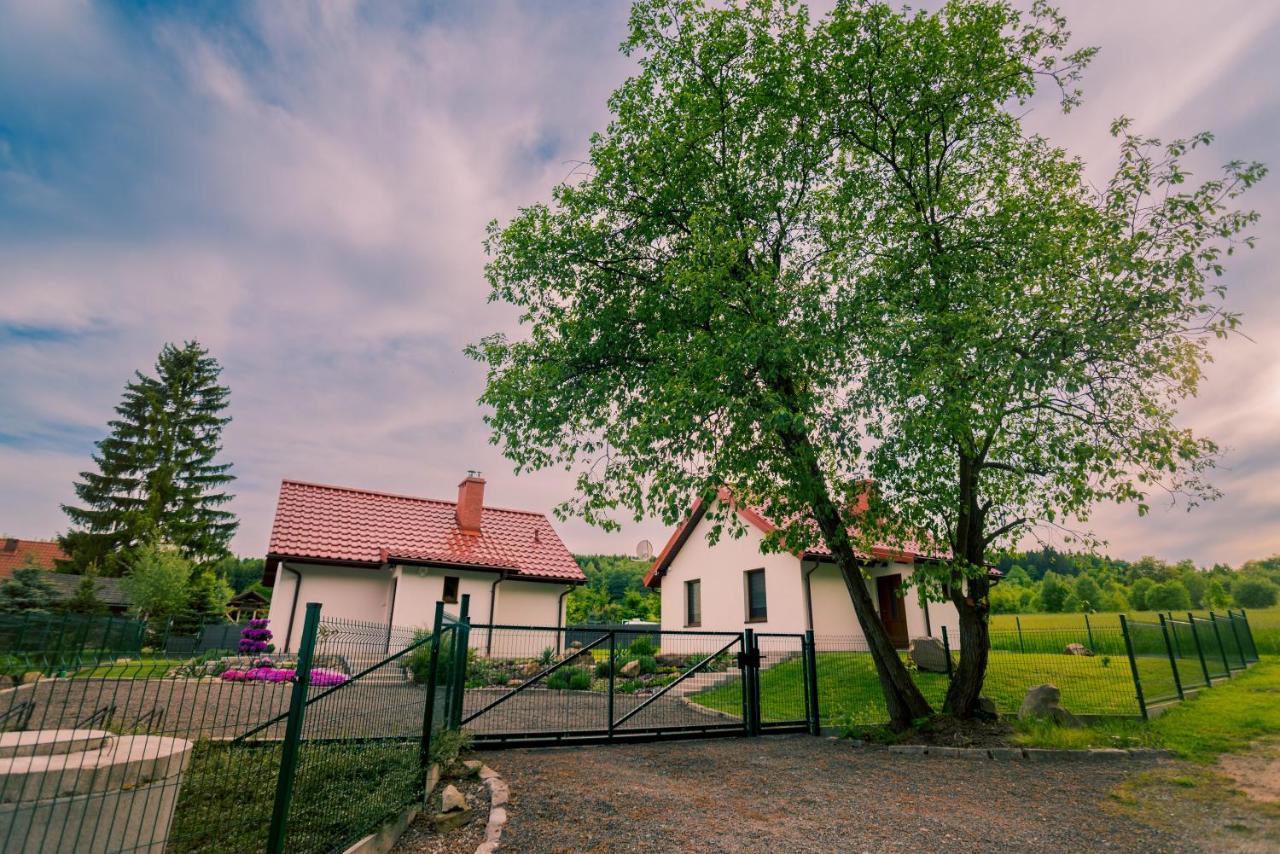 Miedzy Cisza A Cisza - Caloroczne * Polanica-Zdrój